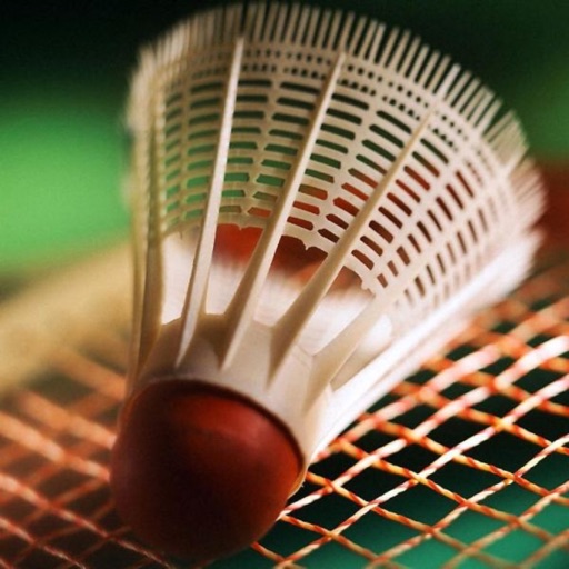 Badminton Campeones icon