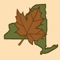 Download the NYS Maple Weekend app to find your nearest sugar house and pancake breakfast