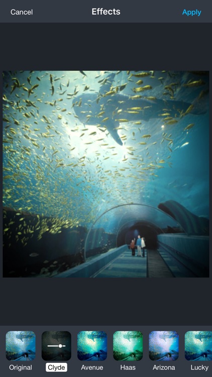 Aquarium Live Wallpaper | Nature coral ocean scene screenshot-3