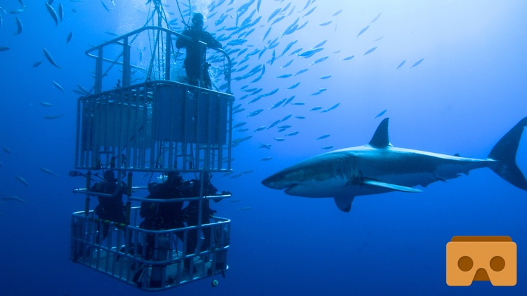 VR Reality Shark Cage for Google Cardboard