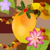 Pic Card Game Mango Version