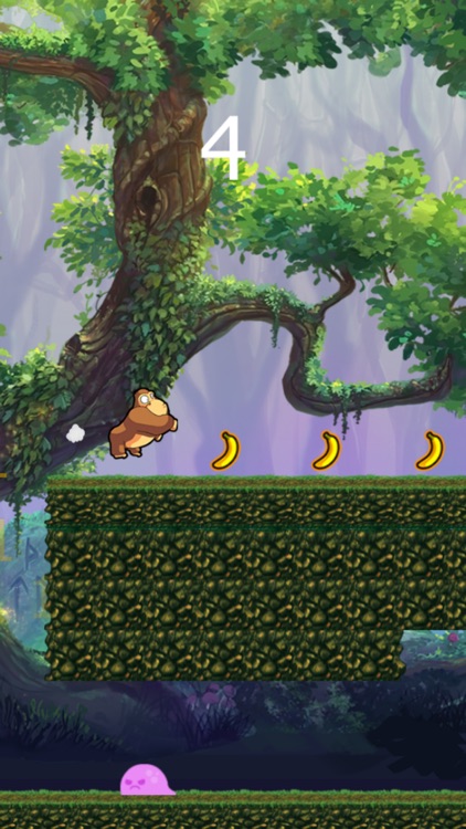 super monkey kong run & jump in forest adventure