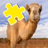 Camel Puzzle Jigsaw Games For Kids Education