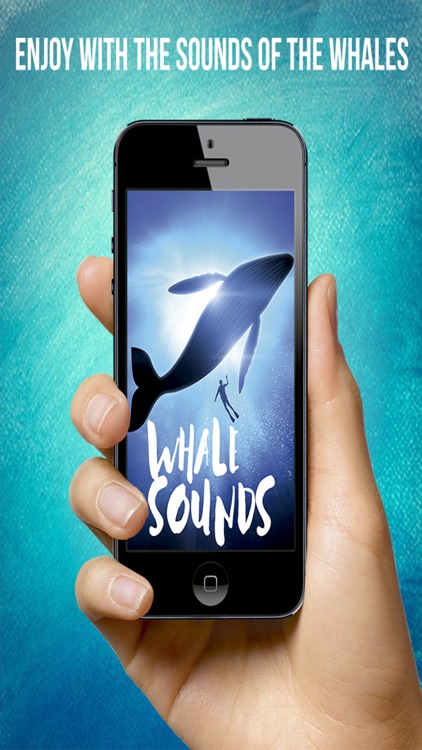 Whale Sounds For Relax