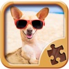 Fun Jigsaw Puzzles - Free Brain Training Games