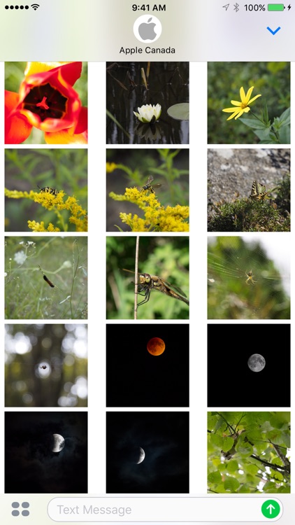 Rugged Photo - Nature Stickers for iMessage