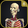 teamLabBody-3D Motion Human Anatomy--TEAMLABBODY.inc