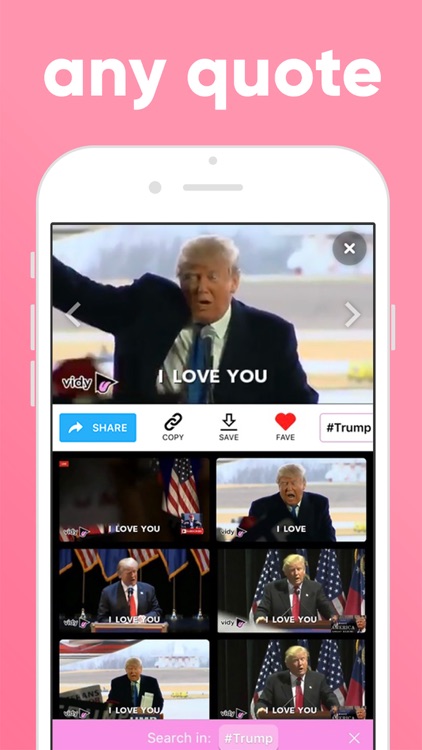 Vidy screenshot-3