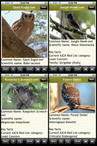 Owls Encyclopedia Plus+ screenshot 2