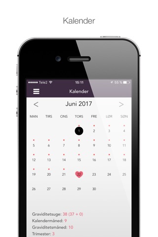 Pregnancy Tracker | Preglife screenshot 4