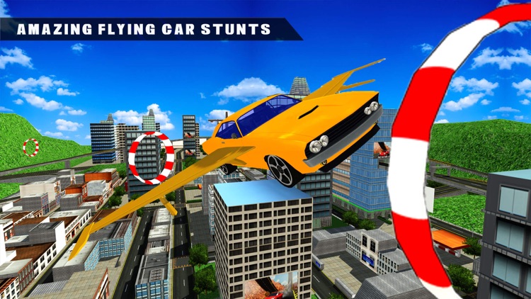 Flying Car Driving Simulator