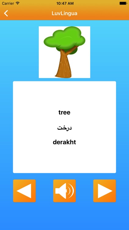Learn Farsi Persian LuvLingua Pro screenshot-3