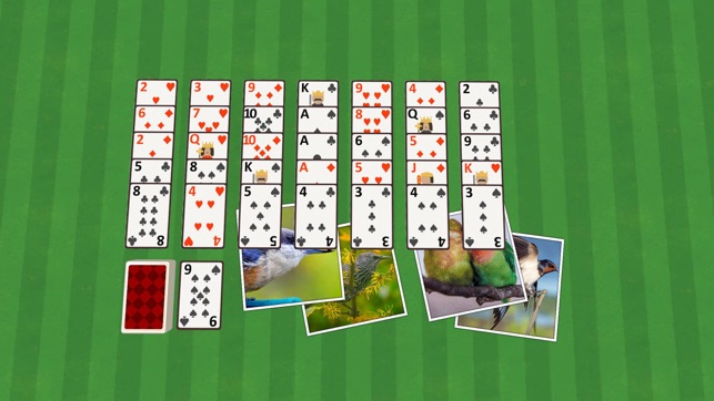 Golf Solitaire Birds(圖1)-速報App