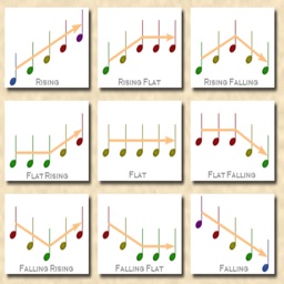 Melodic Contour Identification