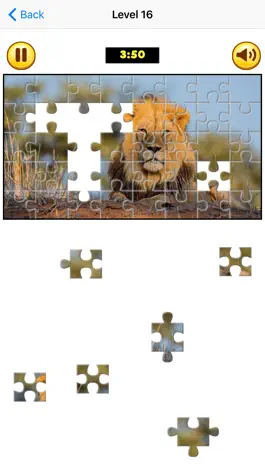 Game screenshot Puzzle Collection: Animals apk