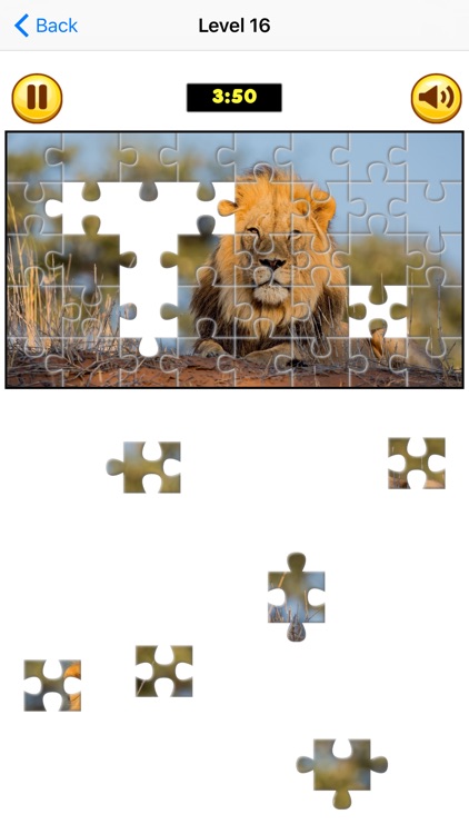 Puzzle Collection: Animals