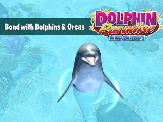 Dolphin Paradise - All Access для iPad