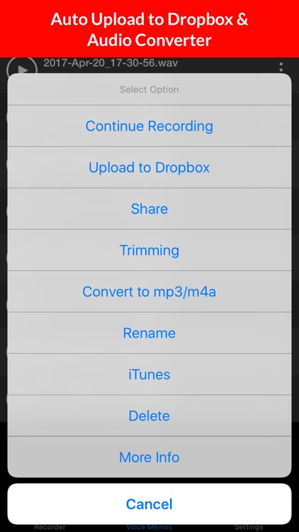 Voice Memos - HD Audio Recording & Playback screenshot-3