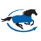 Thanks to the SmartPak Blanketing app, you can finally answer the question on every horse owner’s mind this winter: “Should I put on the medium or the heavy blanket tonight