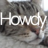 Howdy Cat!