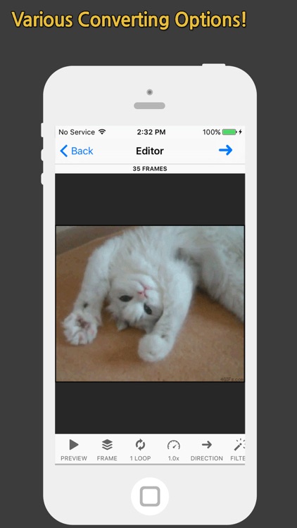 GIF Toaster Pro