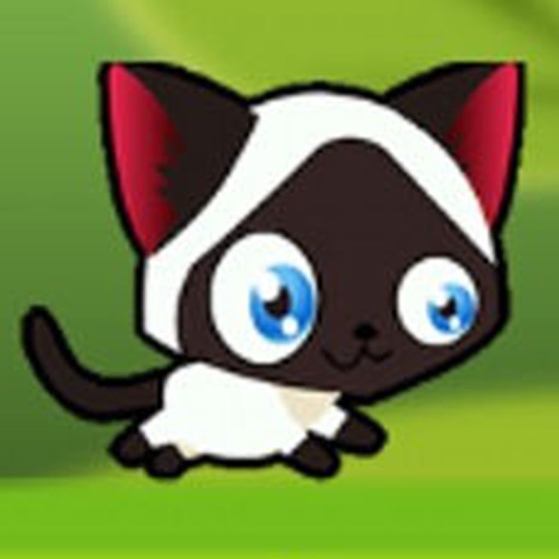 Adventure Of A Black And White Cat iOS App