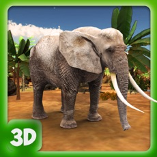 Activities of Jungle Wild Elephant Life - Animals Game