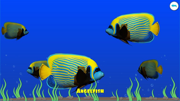 Dancing fishes. 3D Coloring App screenshot-4
