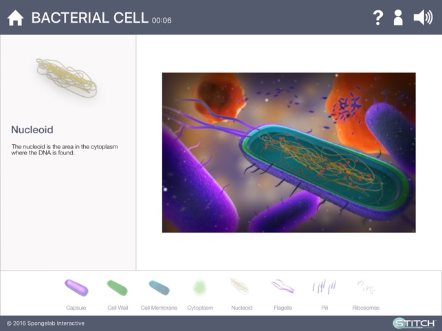 Build a Cell(圖2)-速報App