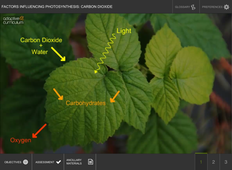 Factors Influencing Photosynthesis: Carbon Dioxide screenshot 2