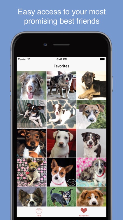 Pet Search - Adopt a Pet Near You screenshot-4