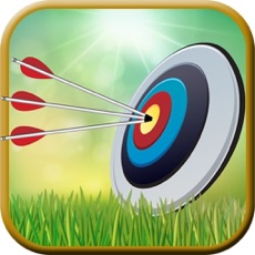 Activities of Man Shoot Bow 3D