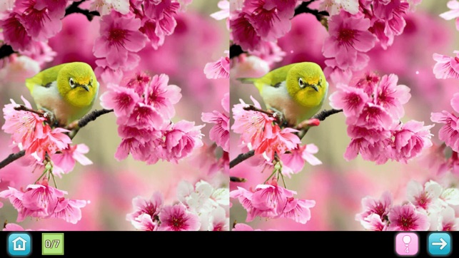 Pinky 2 PRO - Find differences(圖4)-速報App