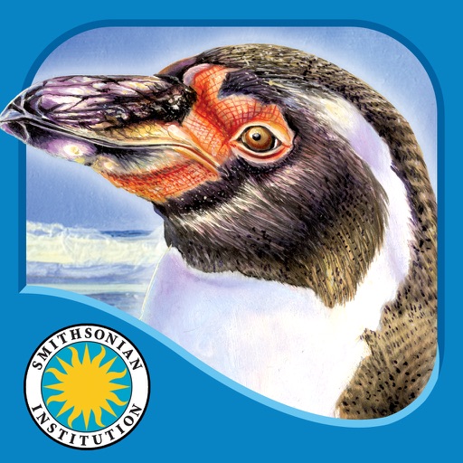 Penguin's Family - Smithsonian Oceanic Collection