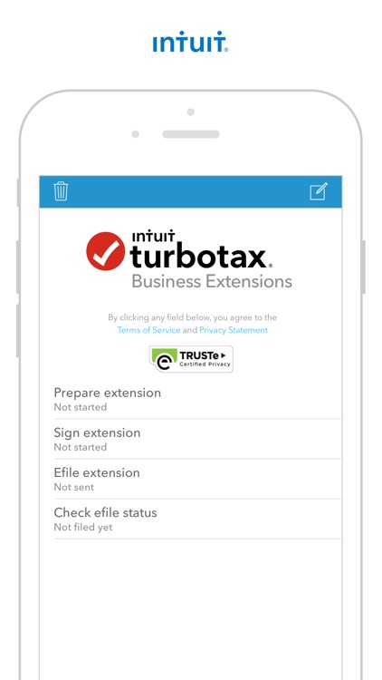 TurboTax Business Extensions