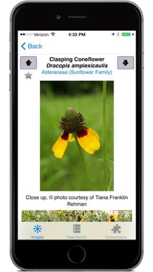 Flora of Texas: FW Prairie(圖4)-速報App