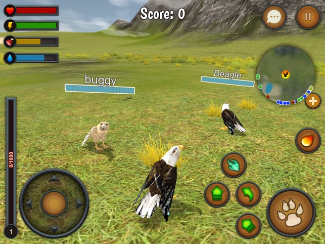 Eagle Multiplayer