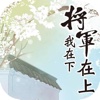 将军在上我在下:言情小说