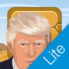 Activities of Trump's Wall Lite