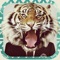 This app is made for all the people out there who have a bit of a
