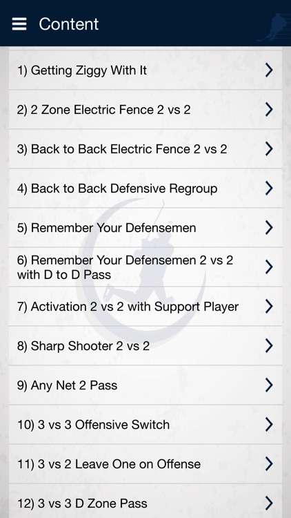 Hockey Drills 2 Lite: Small Area Games
