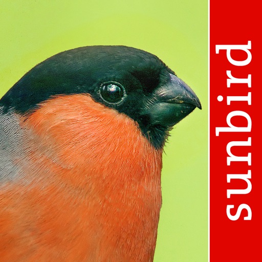 BirdId - Garden Birds of Germany