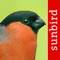 *** now all bird songs included