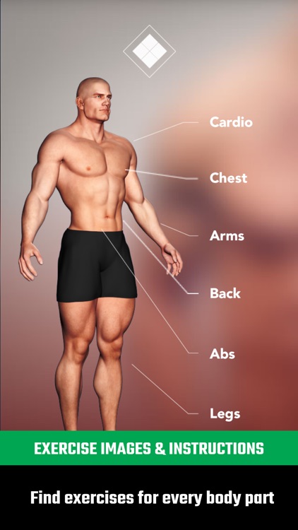 GymStreak Pro - Bodybuilding Tracker