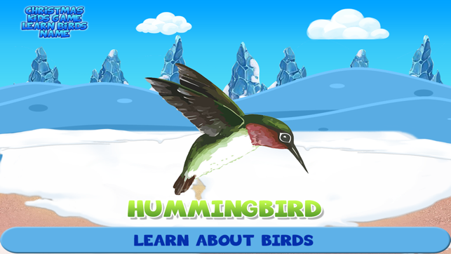 Christmas Kids Game Learn Birds Name(圖3)-速報App