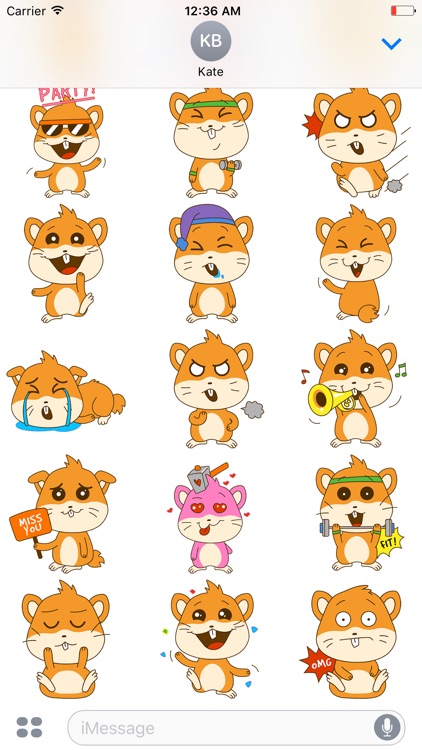 HAMSTEr Animated Stickers screenshot-4