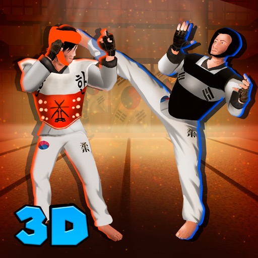 Taekwondo Sports Fighting Cup 3D