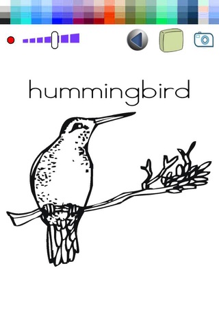 Animals - Bird Coloring Book Drawing for kids screenshot 2