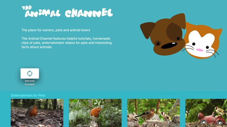 The Animal Channel