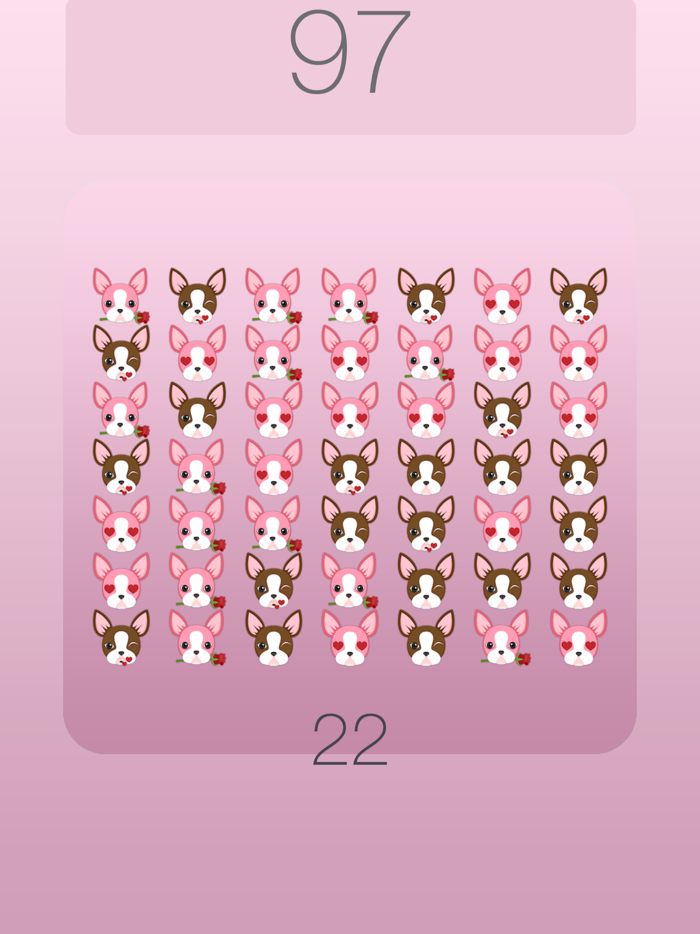 Boston Terrier Shuffle Chocolate